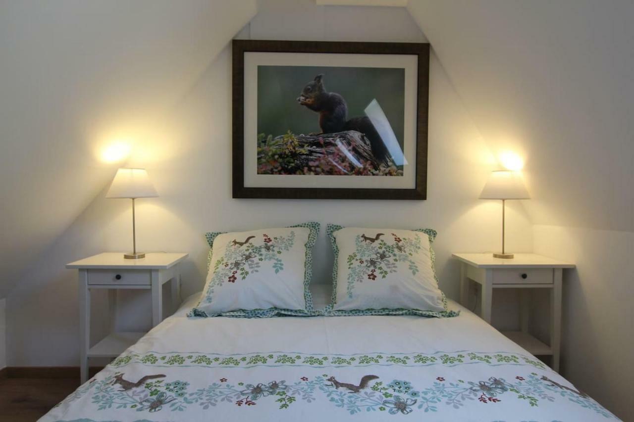 Gîte L’Écureuil au cœur de Riquewihr - 2 personnes Extérieur photo